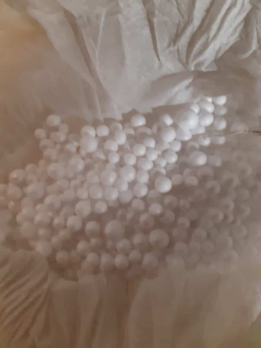 Thermocol XLMedium Size 2 Thermocol XLMedium Size 2